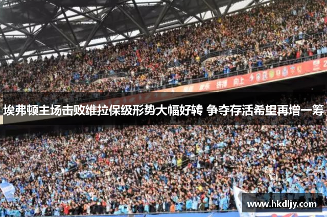 埃弗顿主场击败维拉保级形势大幅好转 争夺存活希望再增一筹