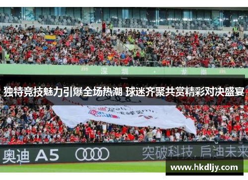 独特竞技魅力引爆全场热潮 球迷齐聚共赏精彩对决盛宴
