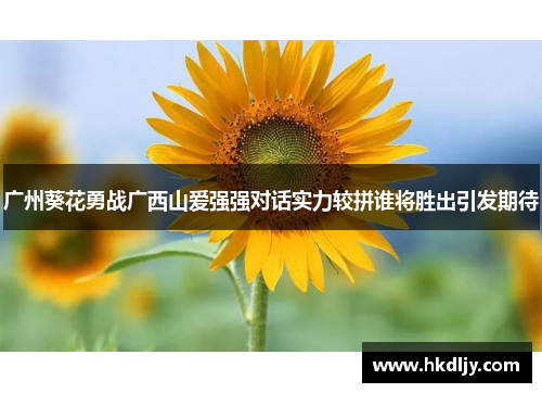 广州葵花勇战广西山爱强强对话实力较拼谁将胜出引发期待