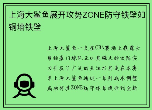 上海大鲨鱼展开攻势ZONE防守铁壁如铜墙铁壁