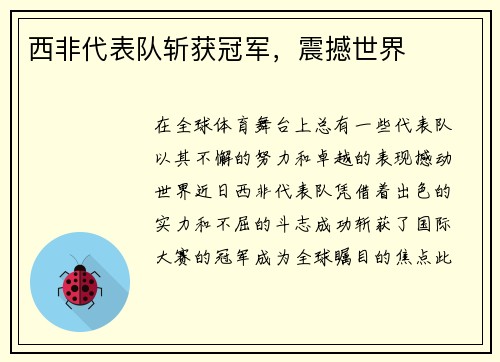 西非代表队斩获冠军，震撼世界