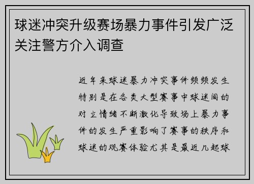 球迷冲突升级赛场暴力事件引发广泛关注警方介入调查